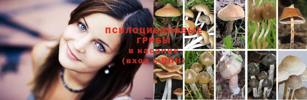 марки nbome Алзамай