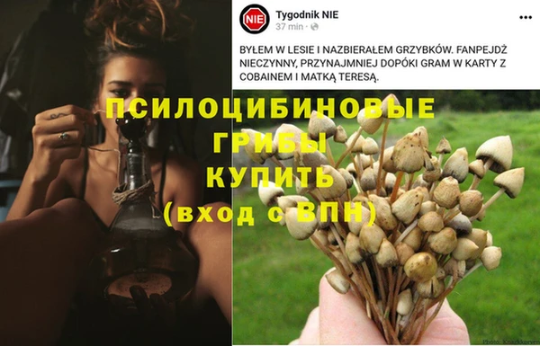 дмт Алексеевка