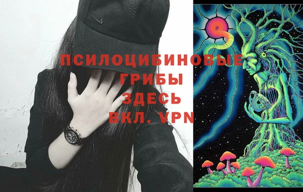 метадон Абаза